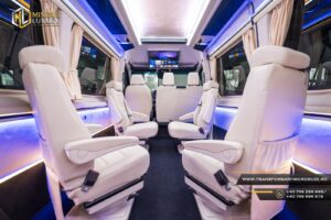 Transformari microbuze 8+1 Minibus Luxury ml28