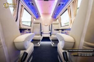 Transformari microbuze 8+1 Minibus Luxury ml98
