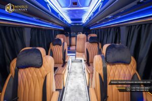 Transformari microbuze 11+1+1 locuri Arad, Minibus Luxury by Cristi