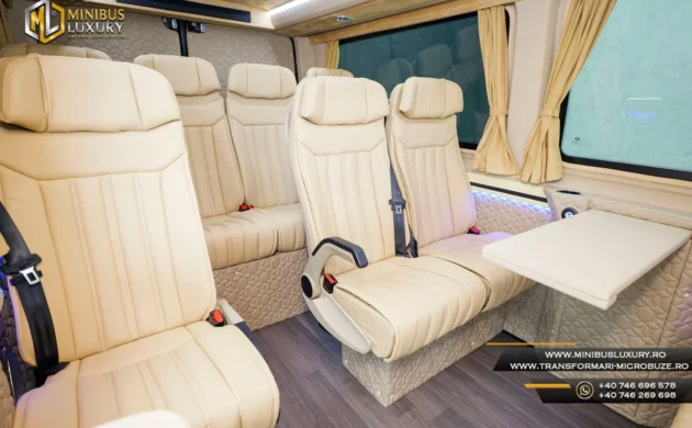Transformari Microbuze 9+1+1 locuri Minibus Luxury by Cristi Constanta ML 91