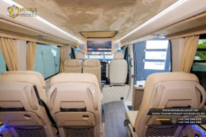 Transformari Microbuze 9+1+1 locuri Minibus Luxury by Cristi Constanta ML 91