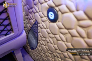 Transformari Microbuze 9+1+1 locuri Minibus Luxury by Cristi Constanta ML 91