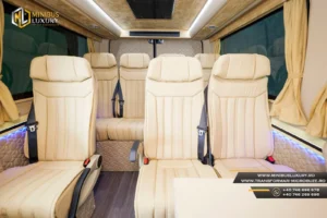 Transformari Microbuze 9+1+1 locuri Minibus Luxury by Cristi Constanta ML 91