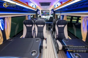Scaune premium Mercedes Sprinter by Minibus Luxury