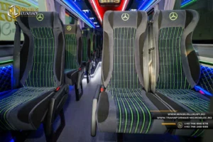 Scaune premium Mercedes Sprinter 22+1+1 Luxury Minibus by Cristi