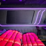 Transformari microbuze 6+1 locuri Mercedes Sprinter by Luxury Minibus (8)